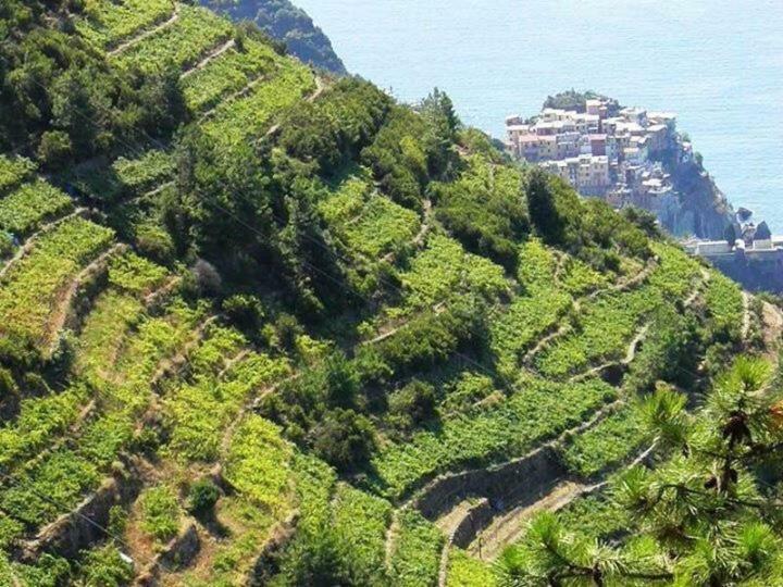 Liguria Home 아메그리아 외부 사진